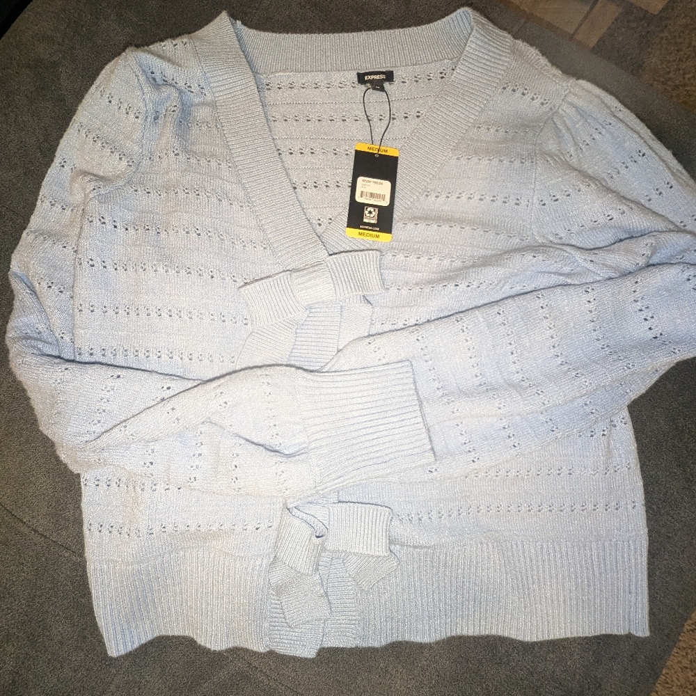 Blue Cardigan